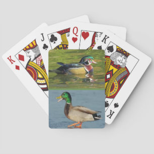 Two ducks on a deck of playing cards