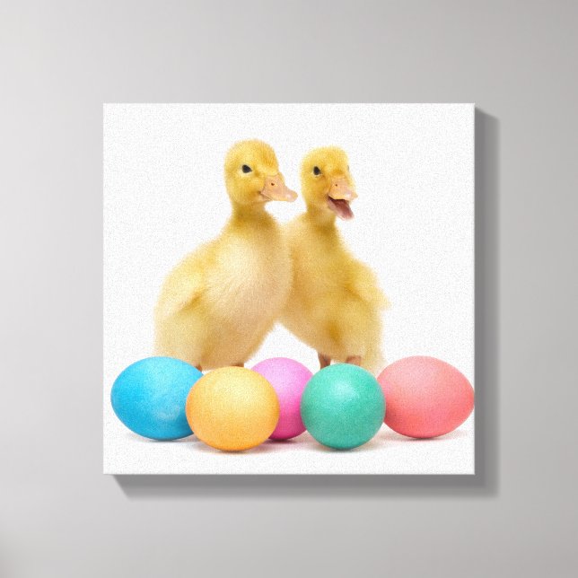 Two ducks with Easter Eggs Canvas Print (Front)