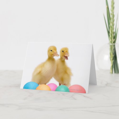 Two ducks with Easter Eggs Holiday Card