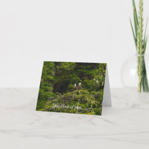 Two Eagles Perched Painterly Thinking Of You Card