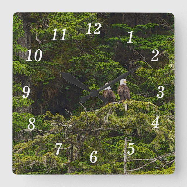 Two Eagles Perched Painterly Wall Clock (Front)