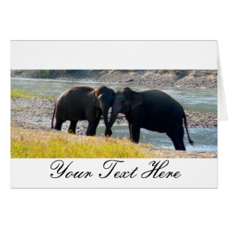 Two Elephants Cards