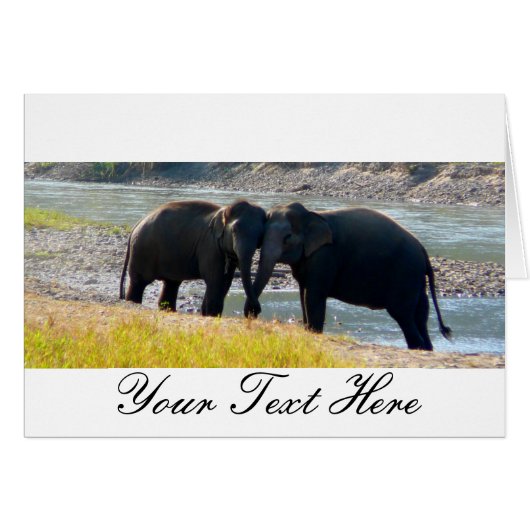 Two Elephants Cards (Front Horizontal)