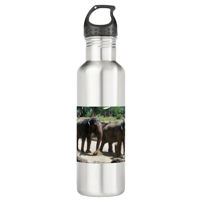 Two Elephants Stainless Steel Water Bottle (Front)
