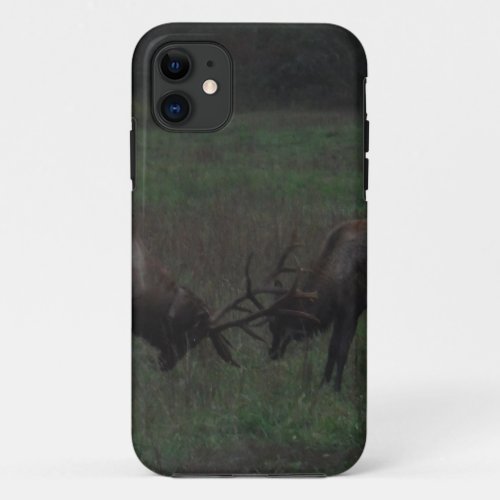 Two Elk  Bulls interlocked in Battle iPhone 11 Case