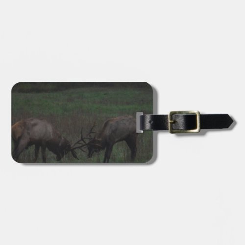 Two Elk  Bulls interlocked in Battle Luggage Tag