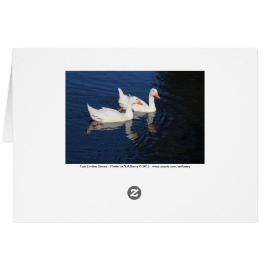 Two Emden Geese (Back Horizontal)