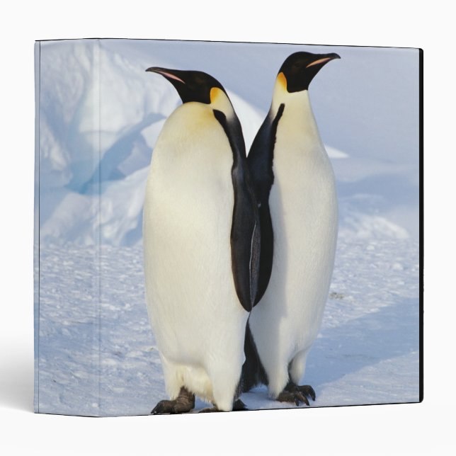 Two Emperor Penguins in Antarctica 3 Ring Binder (Front/Spine)