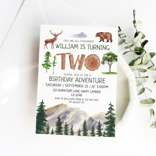 Two Explorer Adventure Boys 2nd Birthday Invitation (Creator Uploaded)