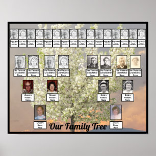 Two Family Tree Blossoms Tree Photo Pink Sunset Poster
