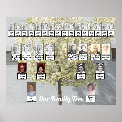 Two Family Trees Blossoms Photo  Name Poster