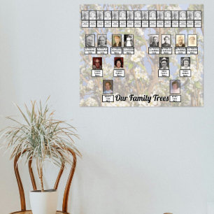 Two Family Trees on White Blossoms Photo Poster