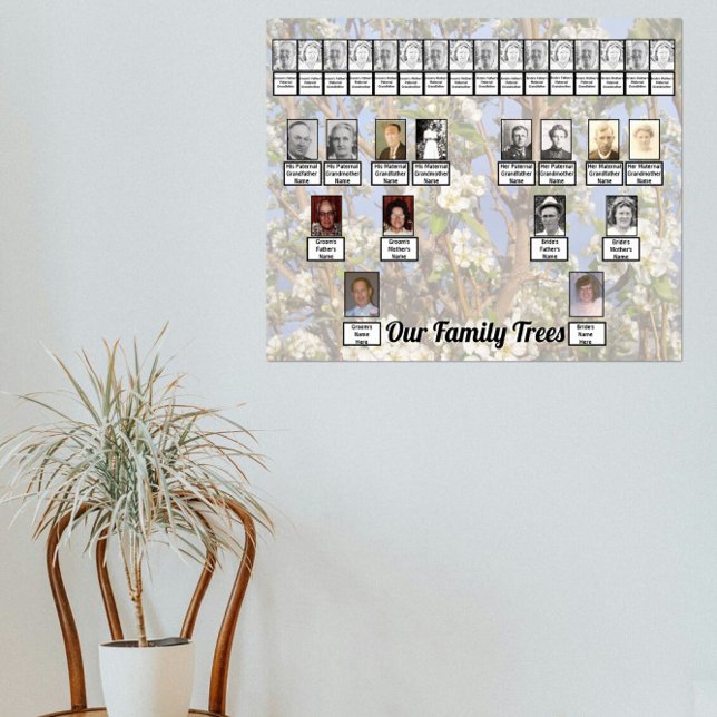 Two Family Trees on White Blossoms Photo     Poster (Creator Uploaded)
