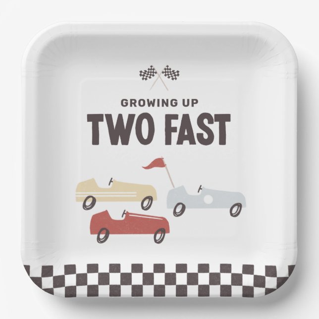 Two Fast Race Car Birthday Party Paper Plates (Front)