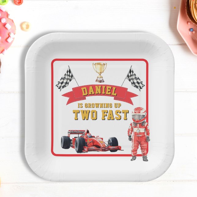 Two Fast Race Car Checkered Flag Birthday Paper Plates (Creator Uploaded)
