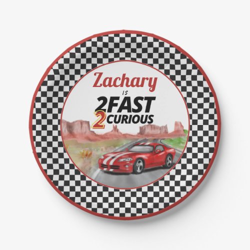 Two Fast Two Curious Vintage Birthday Paper Plates