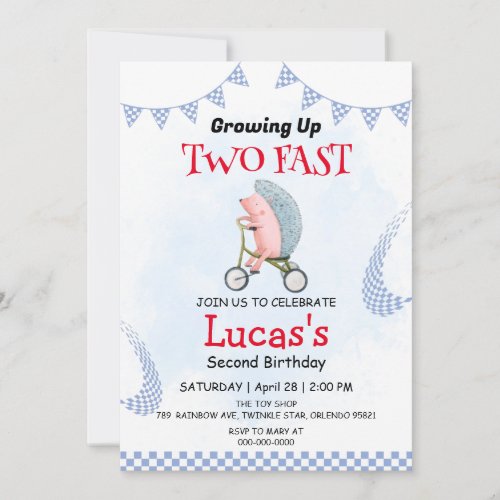 Two Fast wild porcupine bicycle 2nd Birthday Party Invitation