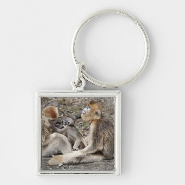 Two female Golden Monkeys with newborns Keychain (Front)