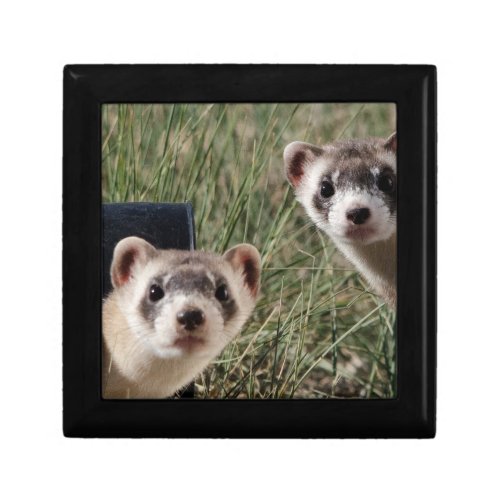 Two Ferrets Keepsake Box