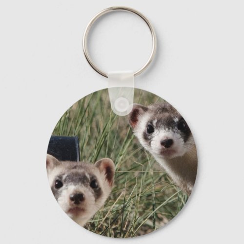 Two Ferrets Keychain