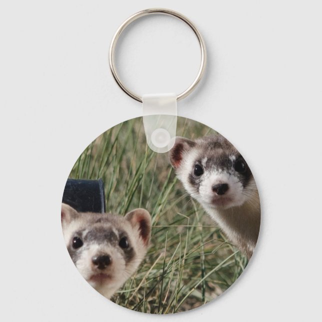 Two Ferrets Keychain (Front)