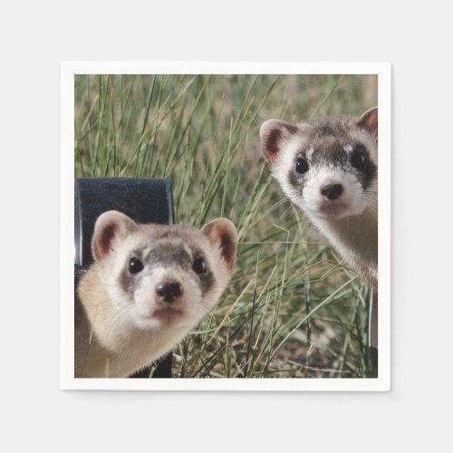 Two Ferrets Napkins