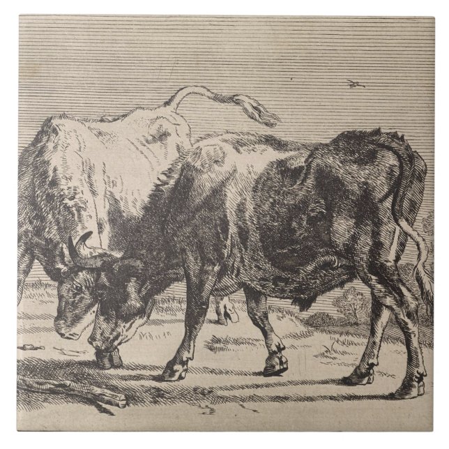 Two Fighting Bulls (by Paulus Potter) Ceramic Tile (Front)