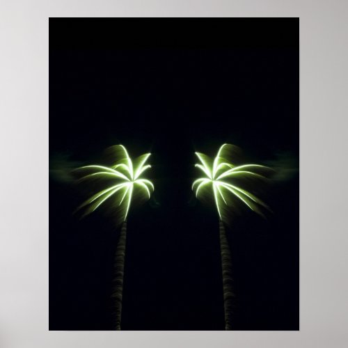 Two Firework Palm Trees Poster