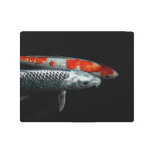 Two Fish Metal Print