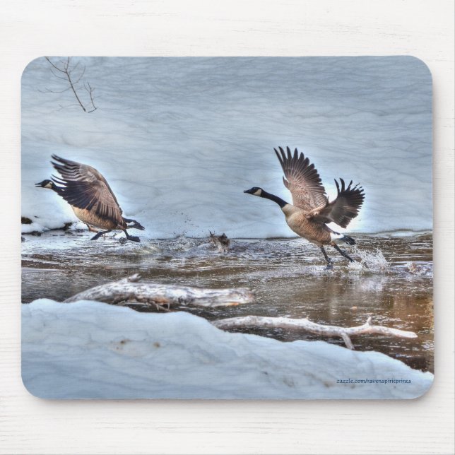Two Flying Canada Geese & Snow Wildlife Photo Mouse Pad (Front)