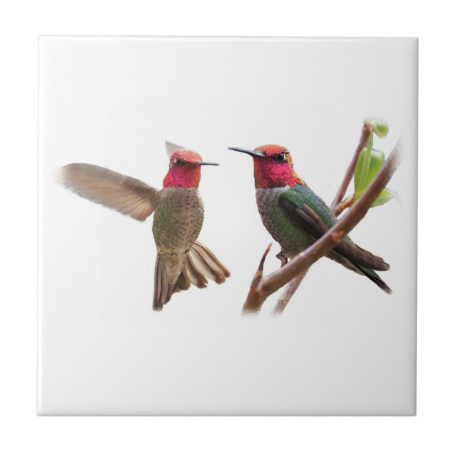 TWO FLYING JEWELS CERAMIC TILE (Front)