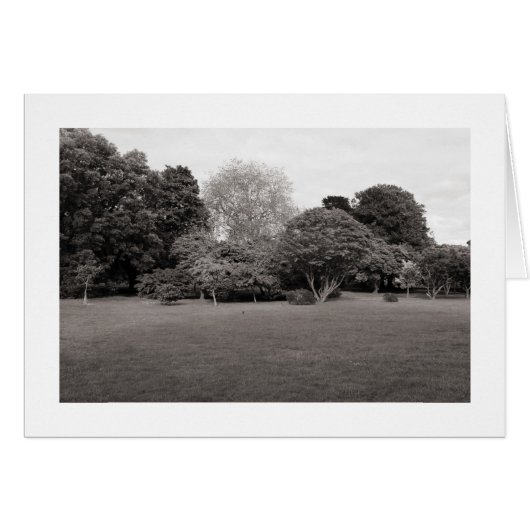 Two for Joy (Warm Toned BW Bordered) (Front Horizontal)