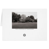 Two for Joy (Warm Toned BW) Cards (Back Horizontal)