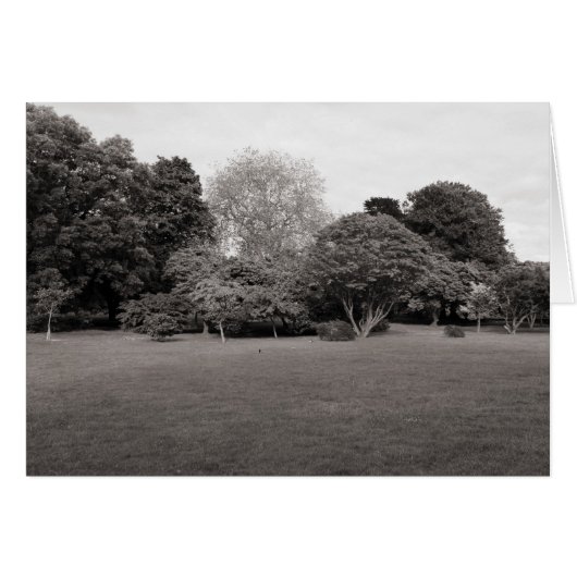 Two for Joy (Warm Toned BW) Cards (Front Horizontal)