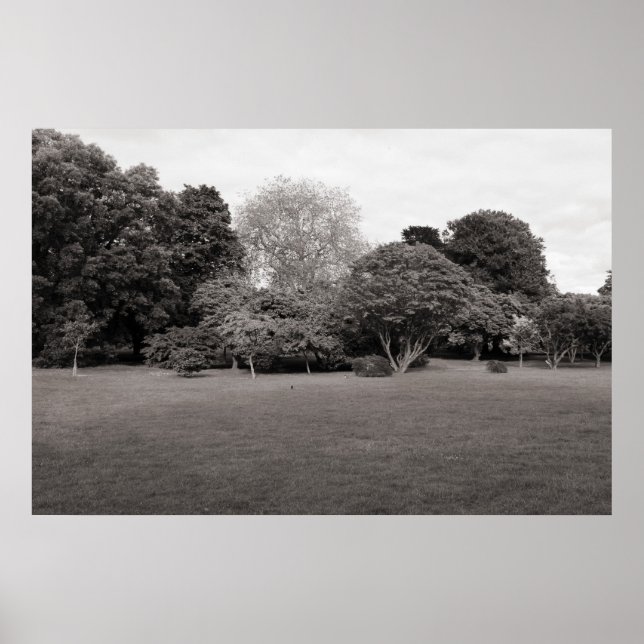 Two for Joy (Warm Toned) Poster (Front)