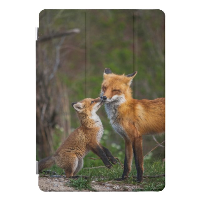 Two Fox 8th Gen iPad w/ 10.2" Retina and Apple 10. Pro Cover (Front)