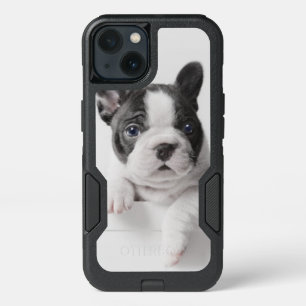 Two French Bulldog Puppies Peer Over A Wall iPhone 13 Case