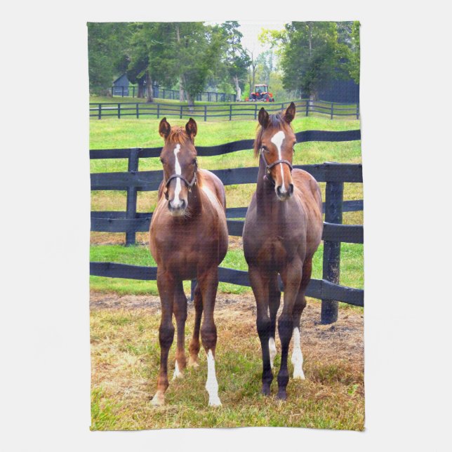Two Friends Kitchen Towel (Vertical)