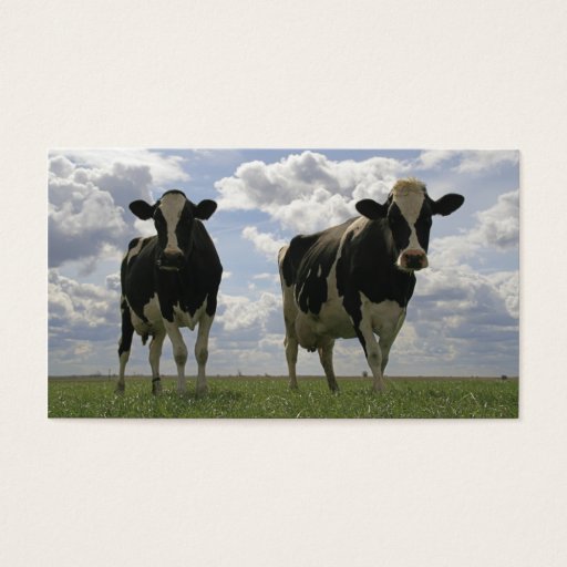 Customizable Two Friesian cows bookmark Business Card Template