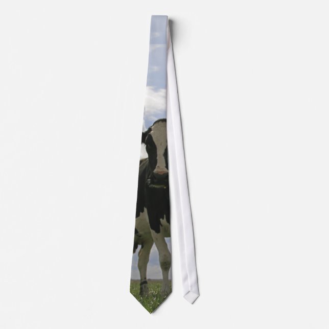 Two Friesian cows Tie (Front)