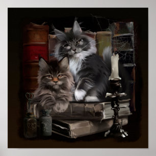 Two furry Maine Coon kittens Poster