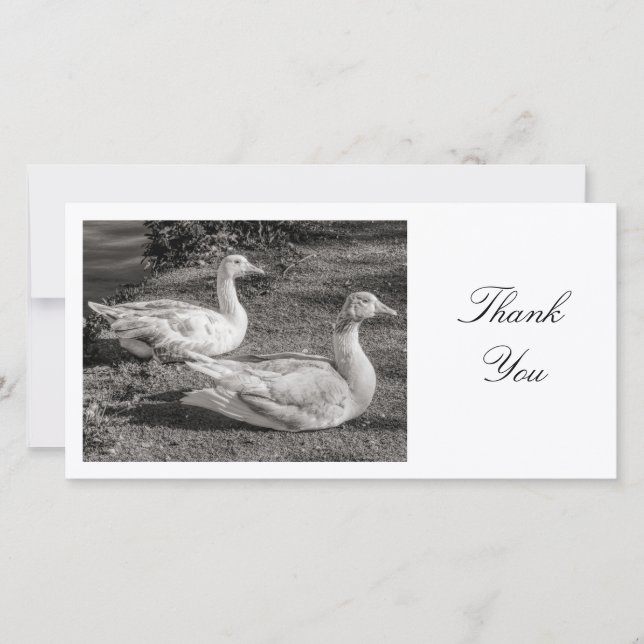Two Geese - Thank You (Front)