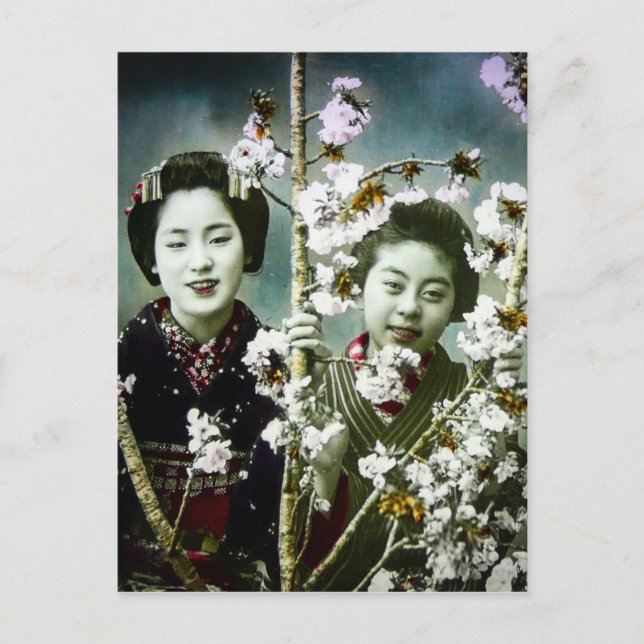 Two Geisha Vintage Japan in Blossoms Japanese Postcard (Front)