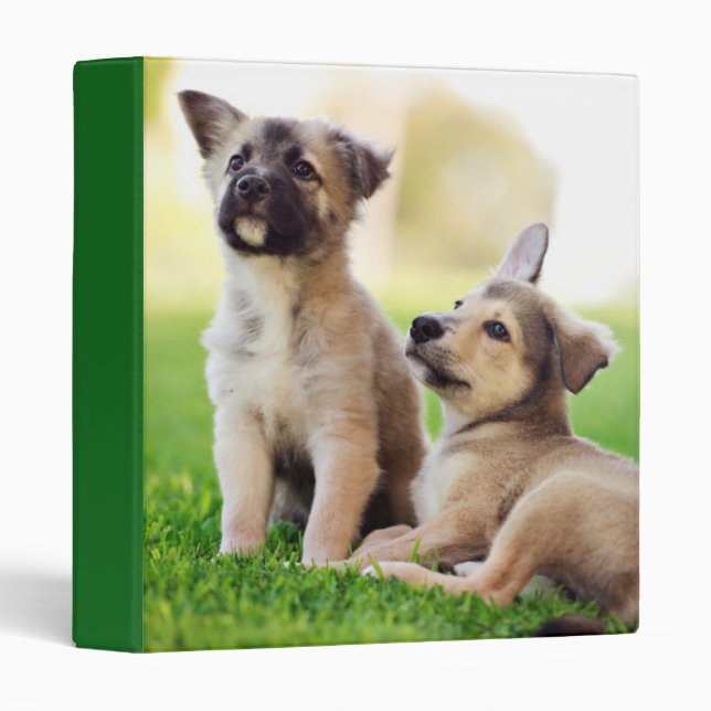 Two German Shepherd Puppies 3 Ring Binder (Front/Spine)