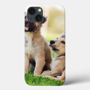 Two German Shepherd Puppies iPhone 13 Case