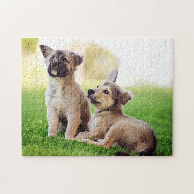 Two German Shepherd Puppies Jigsaw Puzzle (Horizontal)