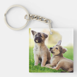 Two German Shepherd Puppies Keychain