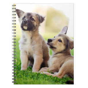 Two German Shepherd Puppies Notebook