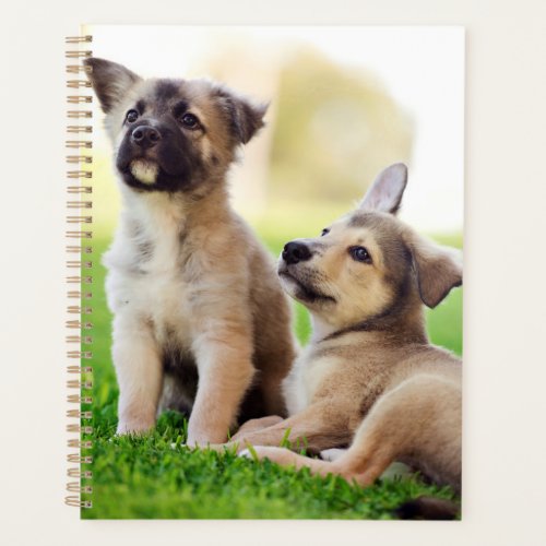 Two German Shepherd Puppies Planner