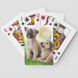 Two German Shepherd Puppies Poker Cards
